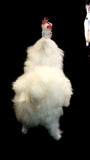 Llama Toy with Alpaca Fur 6.5 inches